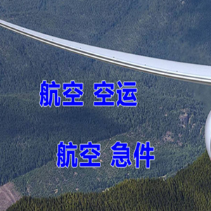 湛江机场物流快递-选东方航空和上海航空